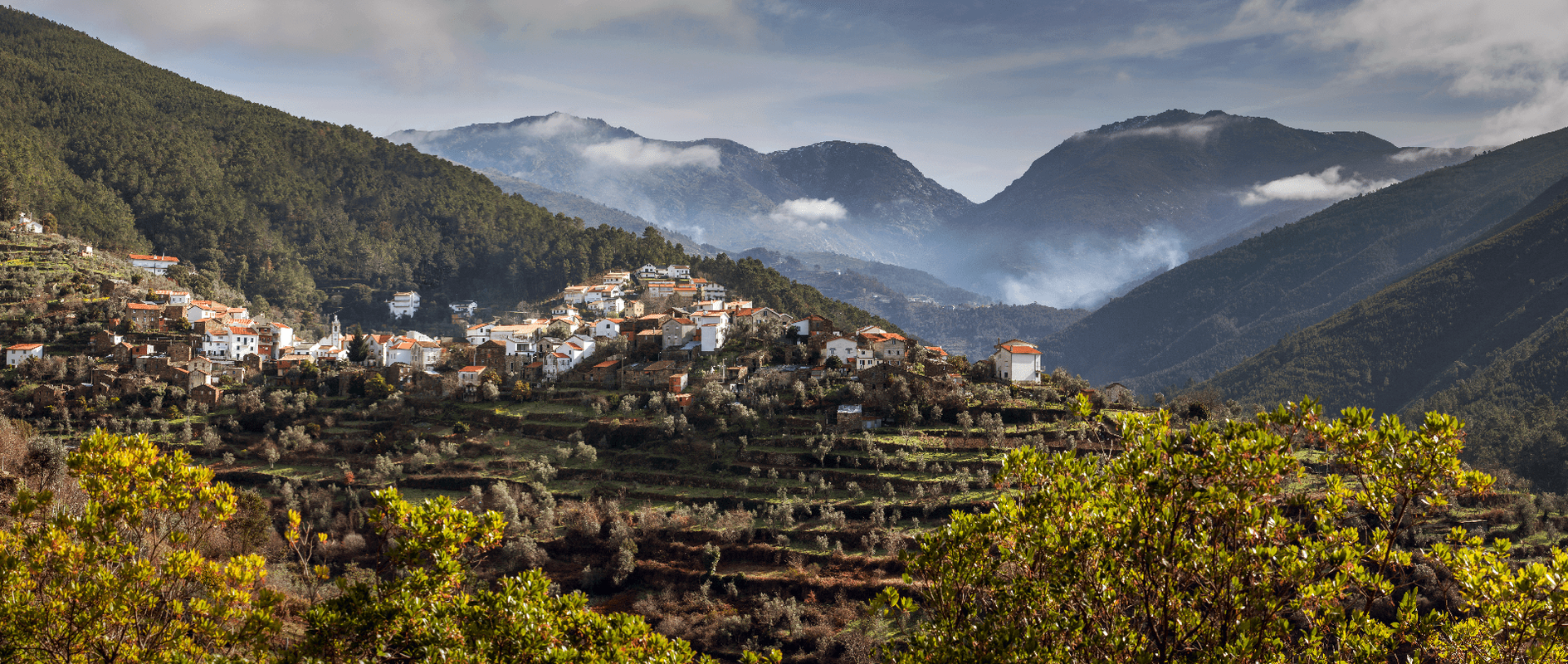 Cabeça, Seia