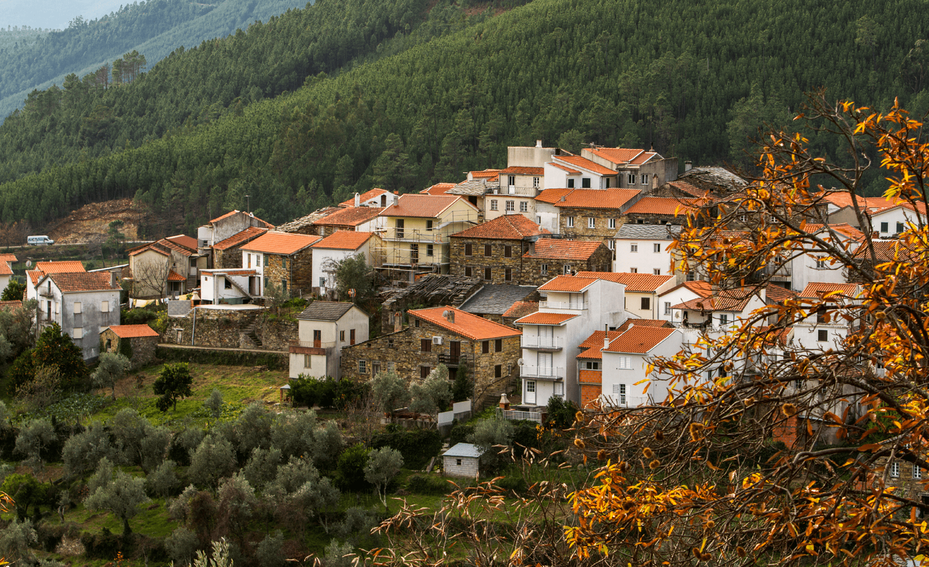 Cabeça, Seia