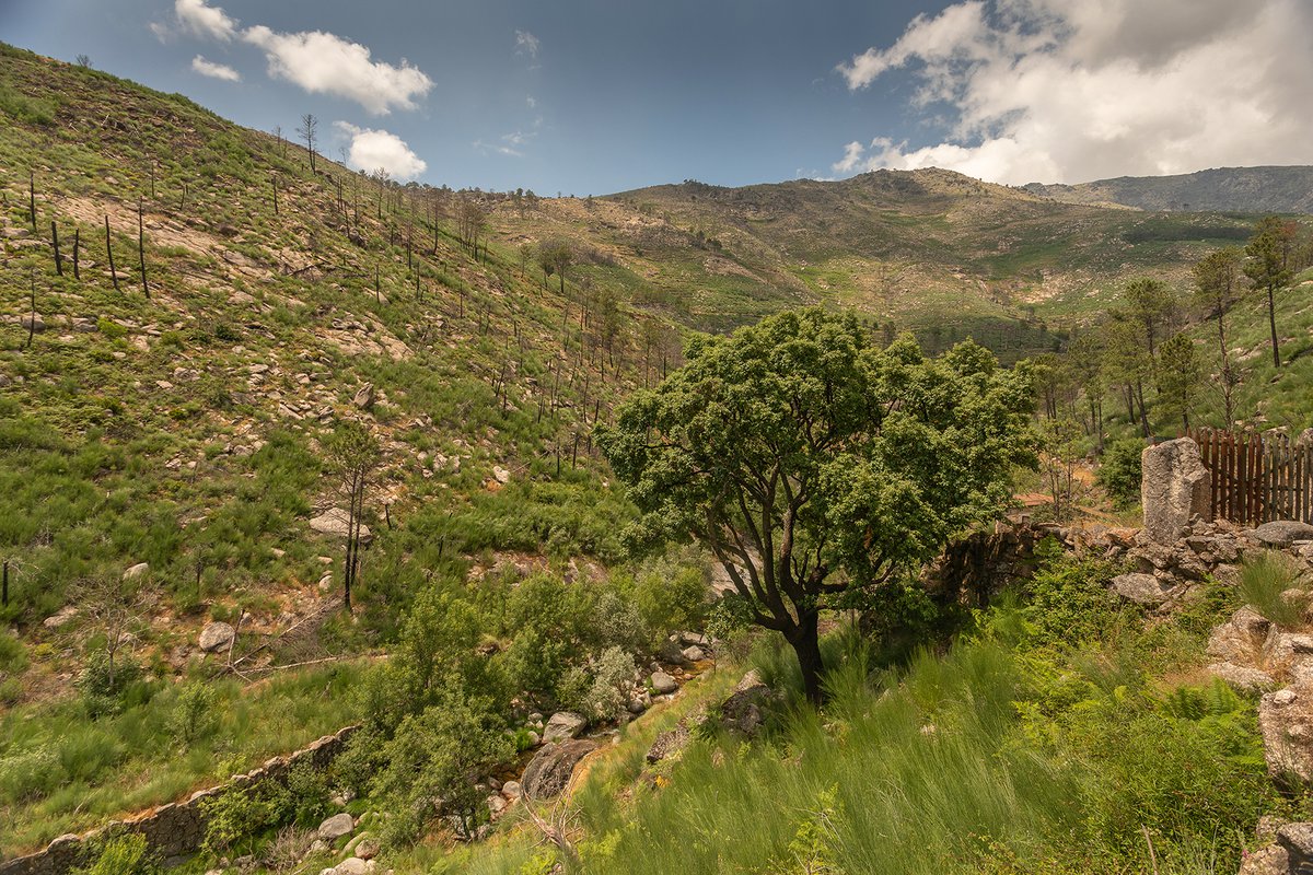 Ribeira das Cortes Valley