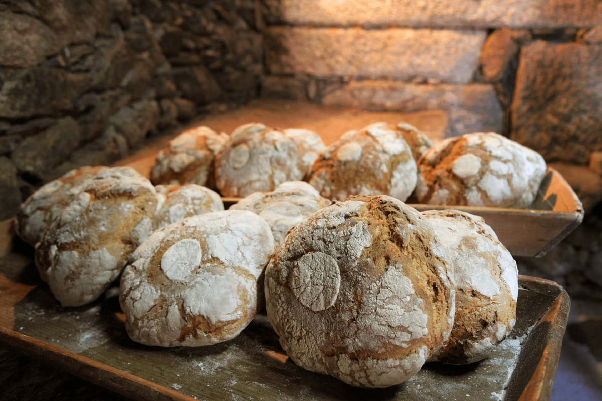 Bread production in Videmonte